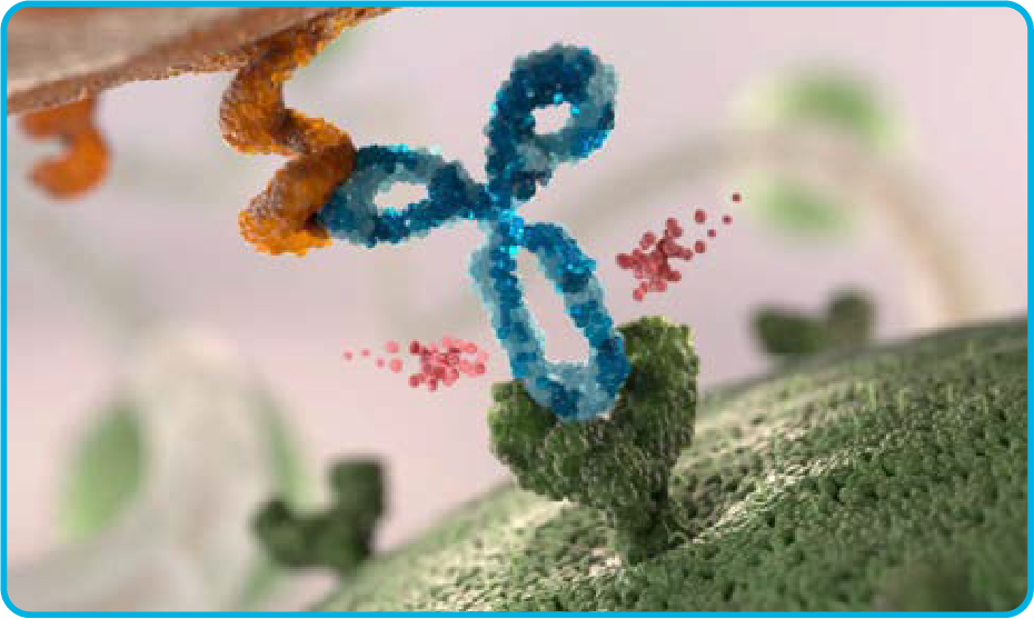 Briumvi® (ublituximab)